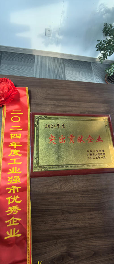 2024年度优秀工业企业1