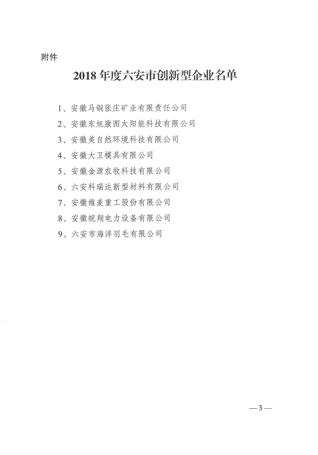 六安市2018年创新型企业3