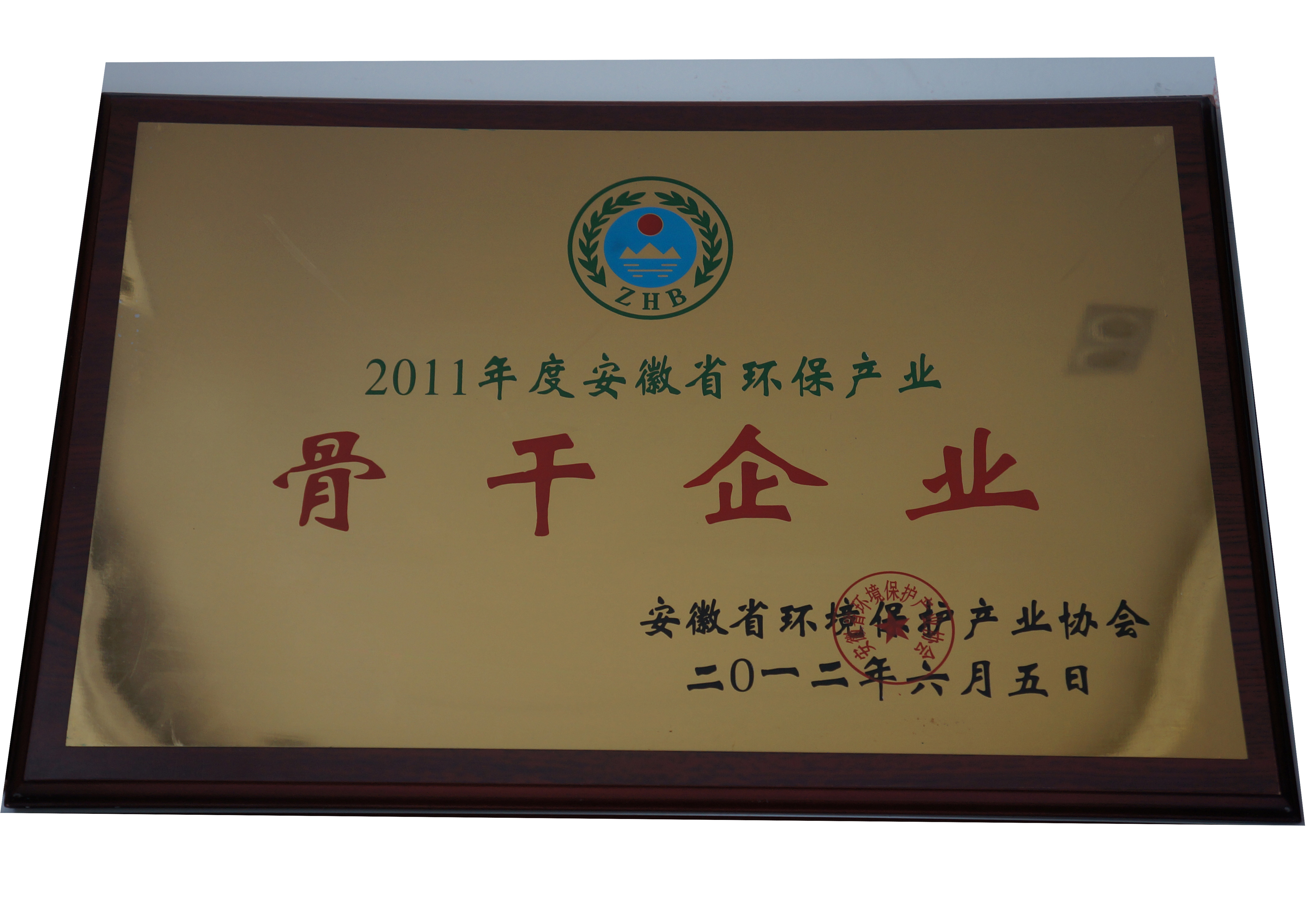 荣誉证书2011年骨干企业