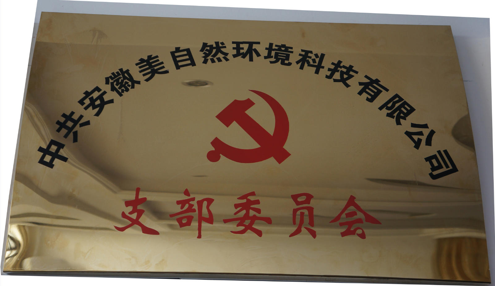 荣誉证书支部委员会