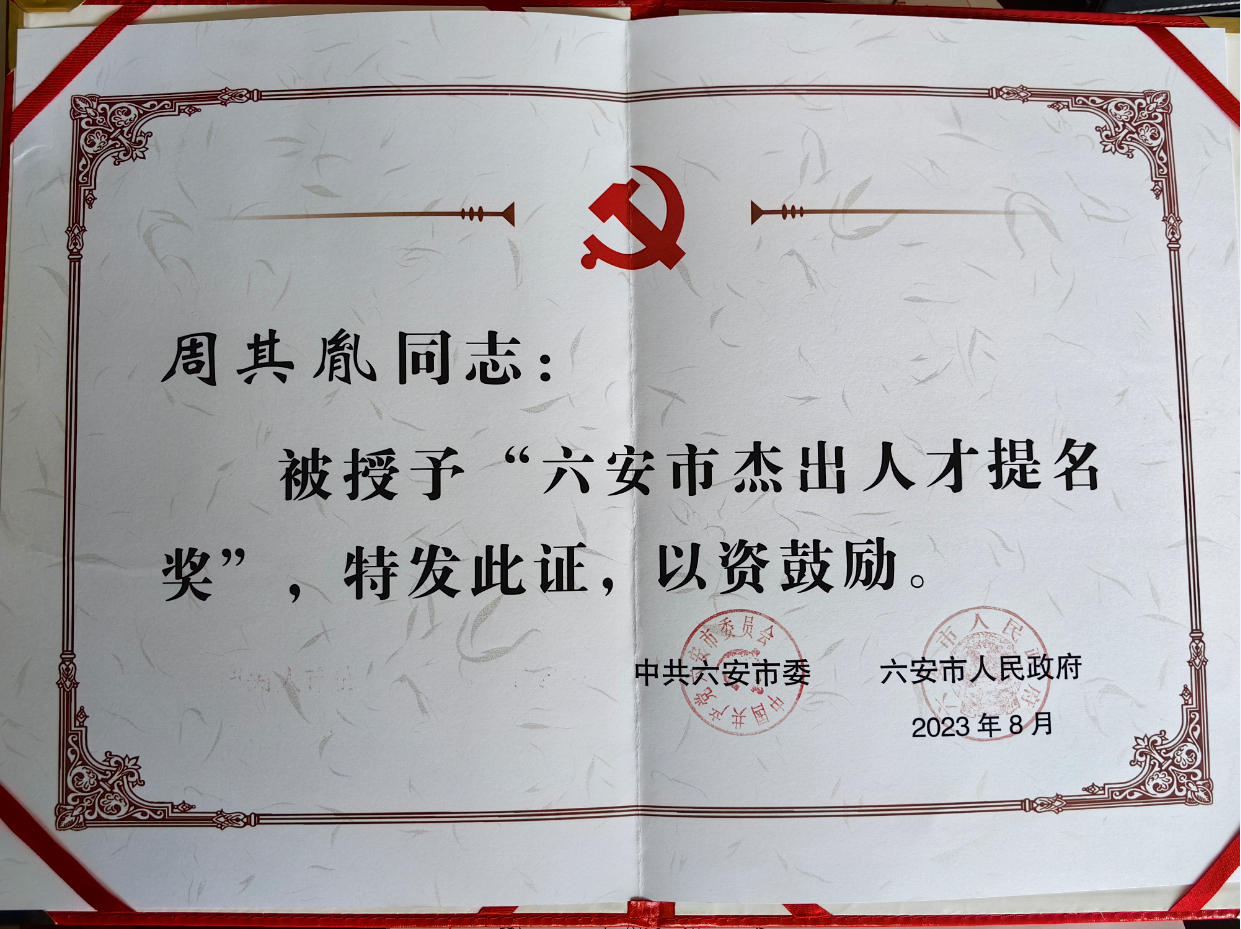 六安市杰出人才提名奖